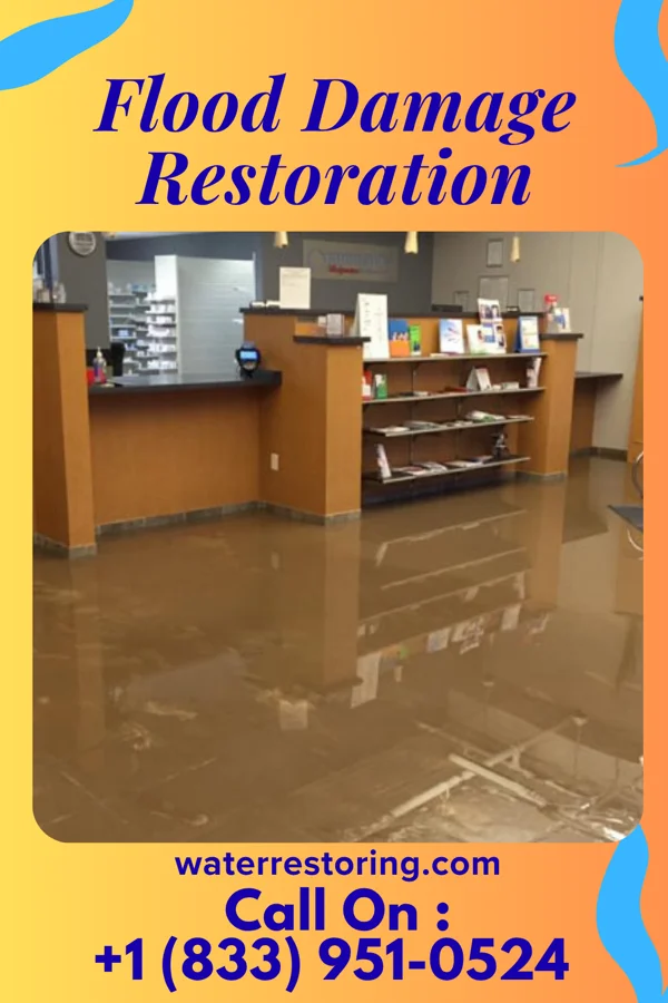 Flood Damage Restoration in Myrtle Beach, SC