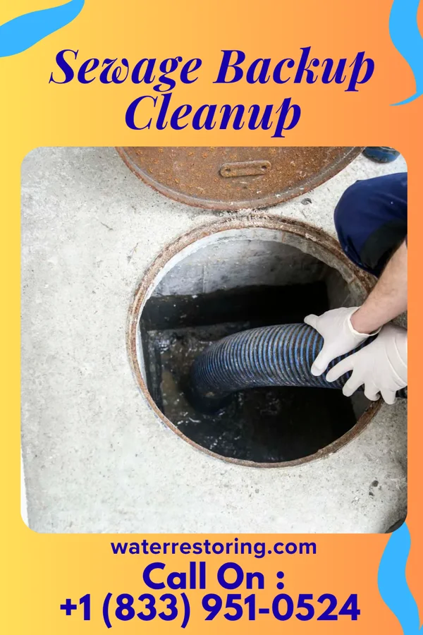 Sewage Backup Cleanup in Myrtle Beach, SC