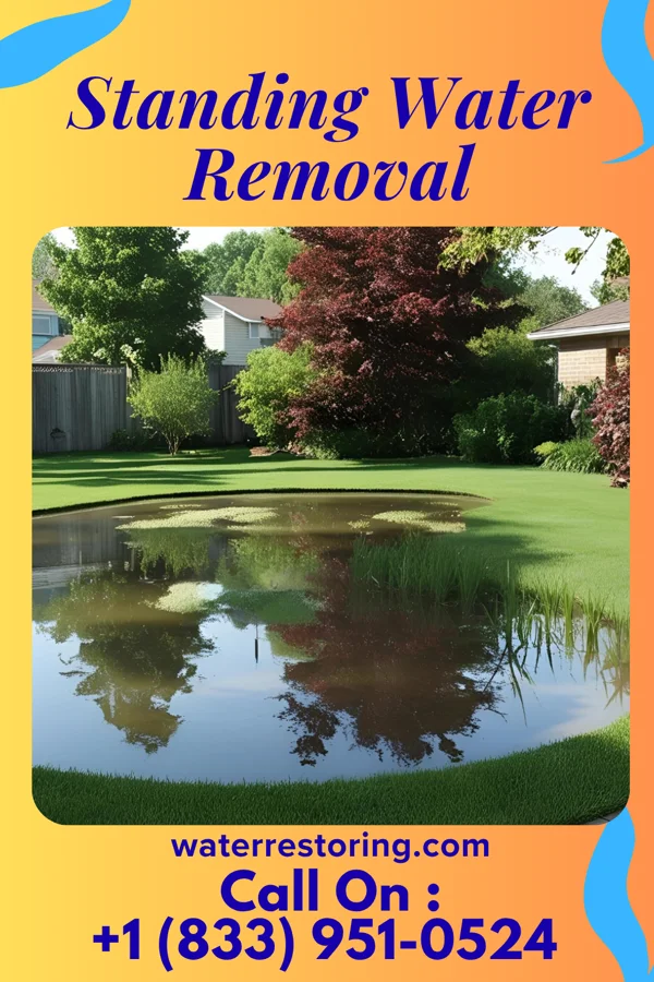 Standing Water Removal in Myrtle Beach, SC
